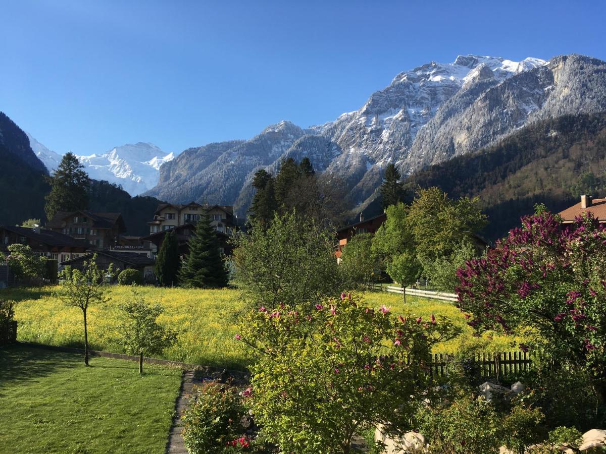 Holidayapartment Sydach Wilderswil Εξωτερικό φωτογραφία